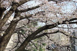 IMG_7275