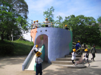 CIMG1506