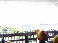 DSC06044