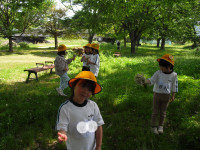 CIMG1516