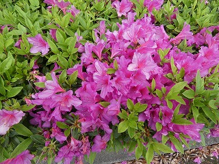 P1060032