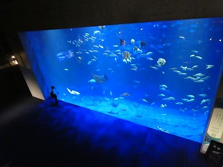 P1060152 - コピー