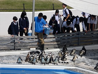 P1060163 - コピー
