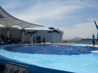 P1060225 - コピー