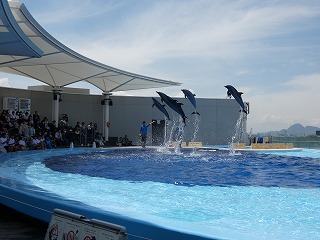 P1060227 - コピー