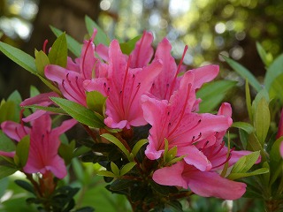 P1060316