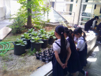DSCF0063