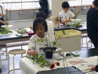DSCF0006