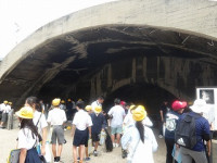 s-IMGP1045