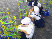 DSCF0036