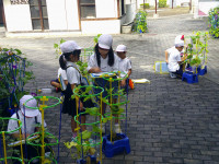 DSCF0039