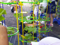 DSCF0040