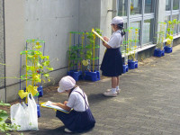 DSCF0041