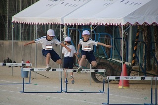 IMG_6171
