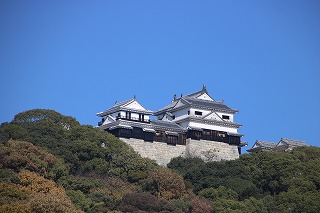IMG_8372