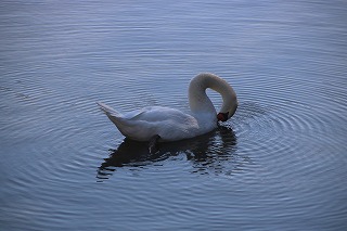 IMG_8399