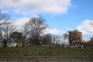 IMG_9462