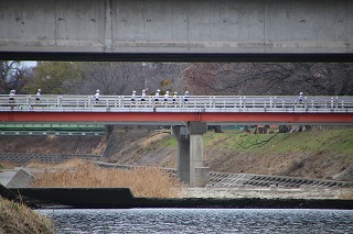IMG_9619