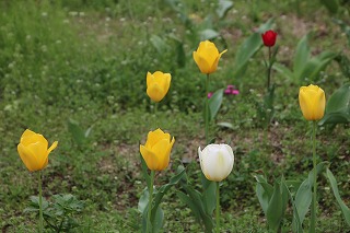 IMG_1845