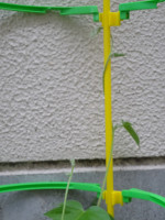 DSC02301