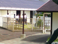 DSCF0013