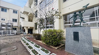 0305 ハクモクレン2