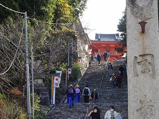 DSC03545