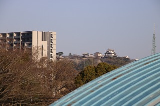 IMG_7030