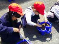 DSCF0065