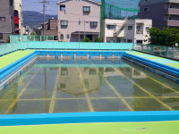 DSCF0013