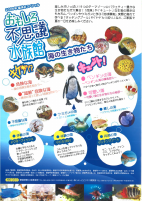 おもしろ不思議水族館【8.7～30いよてつ高島屋】.pdfの2ページ目のサムネイル