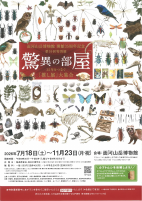 驚異の部屋(面河山岳博物館開館35周年記念)【7.18～11.23面河山岳博物館】.pdfの1ページ目のサムネイル