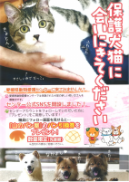 保護犬猫に会いにきてください【県動物愛護センター】.pdfの1ページ目のサムネイル